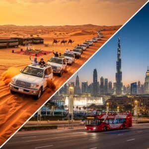 Safari City Tour Combo 23 Genius Ways to See Dubai for Half Price